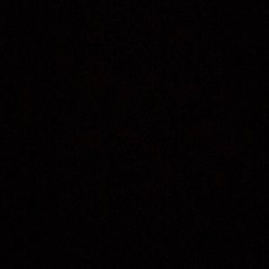 Meet your Posher, Lilly